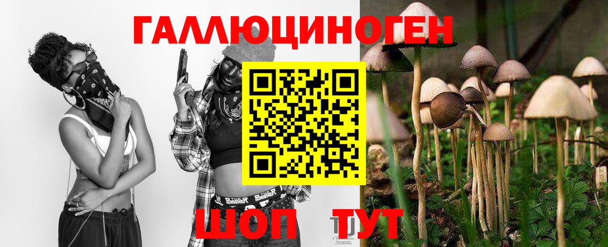 Красный Сулин  Псилоцибиновые грибы Magic Shrooms  Вход с VPN 