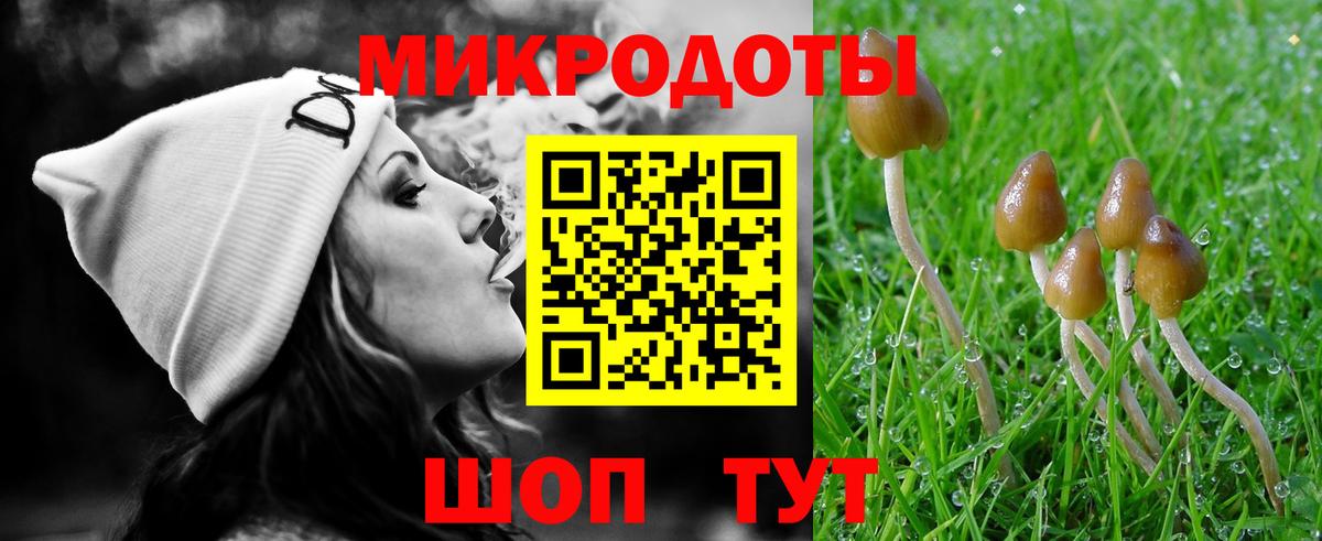 Галлюциногенные грибы Cubensis Красный Сулин